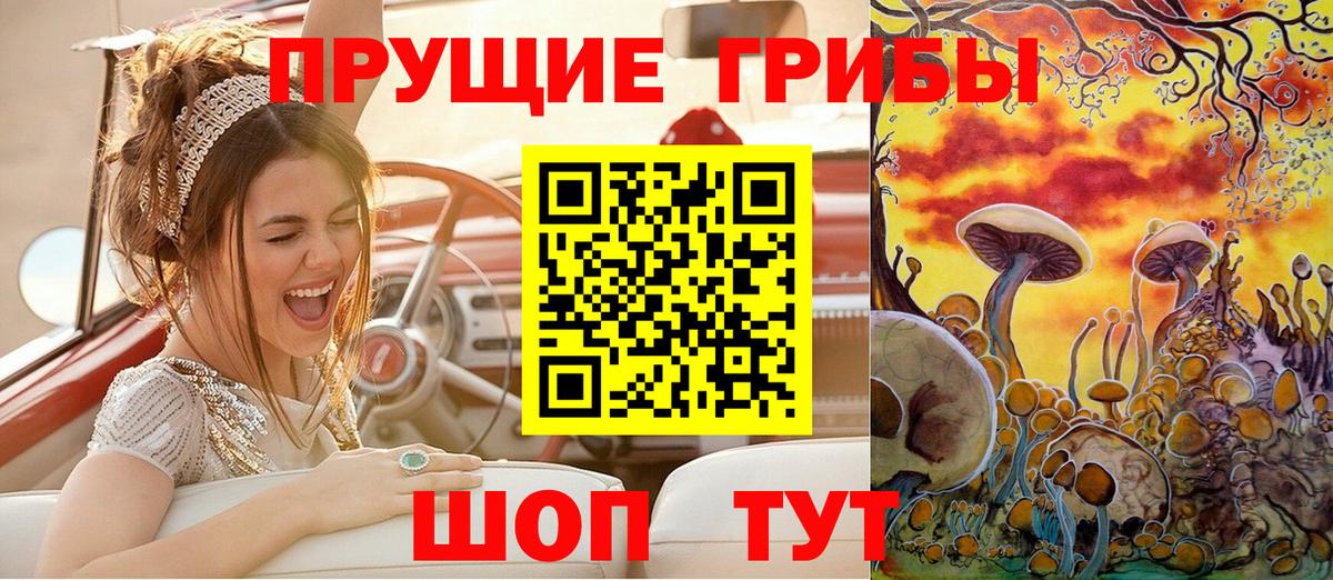 Псилоцибиновые грибы мицелий Дальнегорск