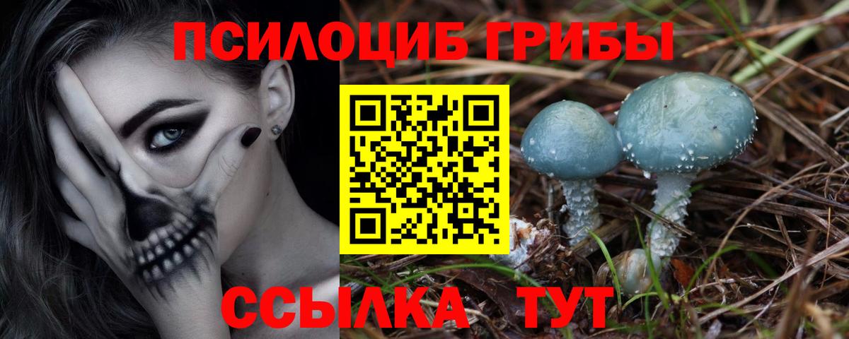 Дальнегорск  Галлюциногенные грибы Magic Shrooms  Вход с VPN  Галлюциногенные грибы MAGIC MUSHROOMS 